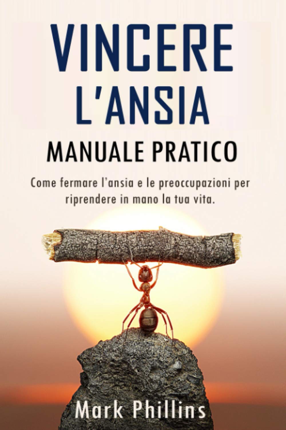 Vincere L’Ansia: Come Fermare il Ciclo Dell’Ansia, Delle Paure e Delle Preoccupazioni e Riprendere In Mano La Tua Vita. Manuale Pratico Per Sconfiggere l’Ansia, Gli Attacchi Di Panico e La Depressione book