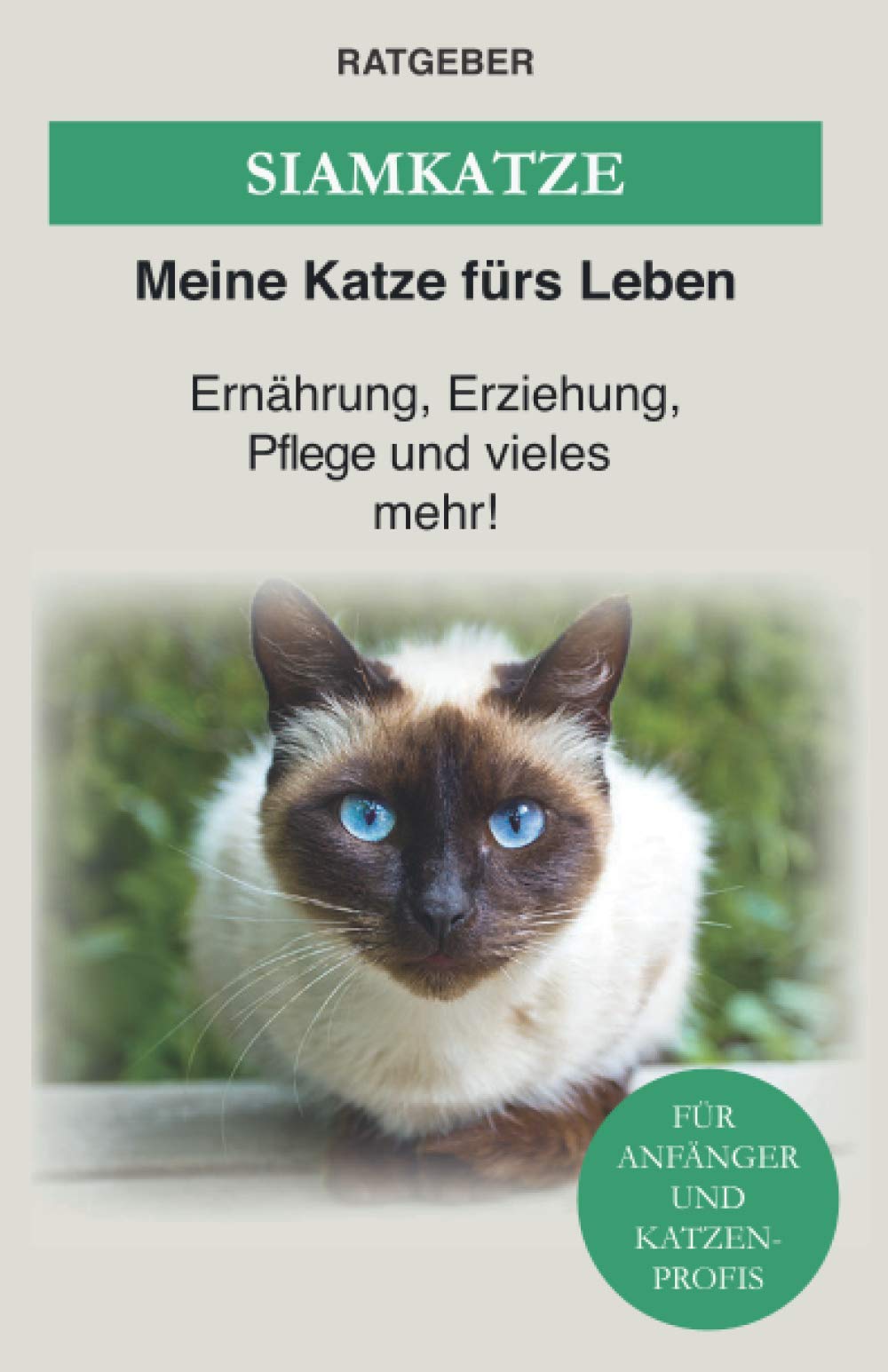 Siam Katze: Siamkatze - Ernährung, Erziehung, Pflege und vieles mehr! Pets