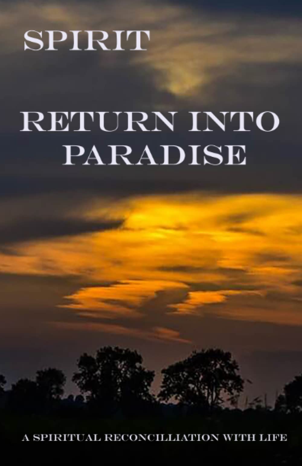 Spirit - Return into Paradise: (A Spiritual Reconciliation with life) book