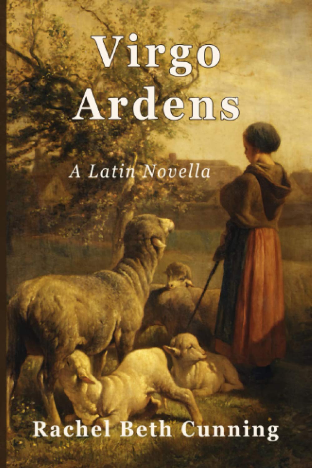 Virgo Ardens: A Latin Novella Foreign Languages ​​& Dictionaries