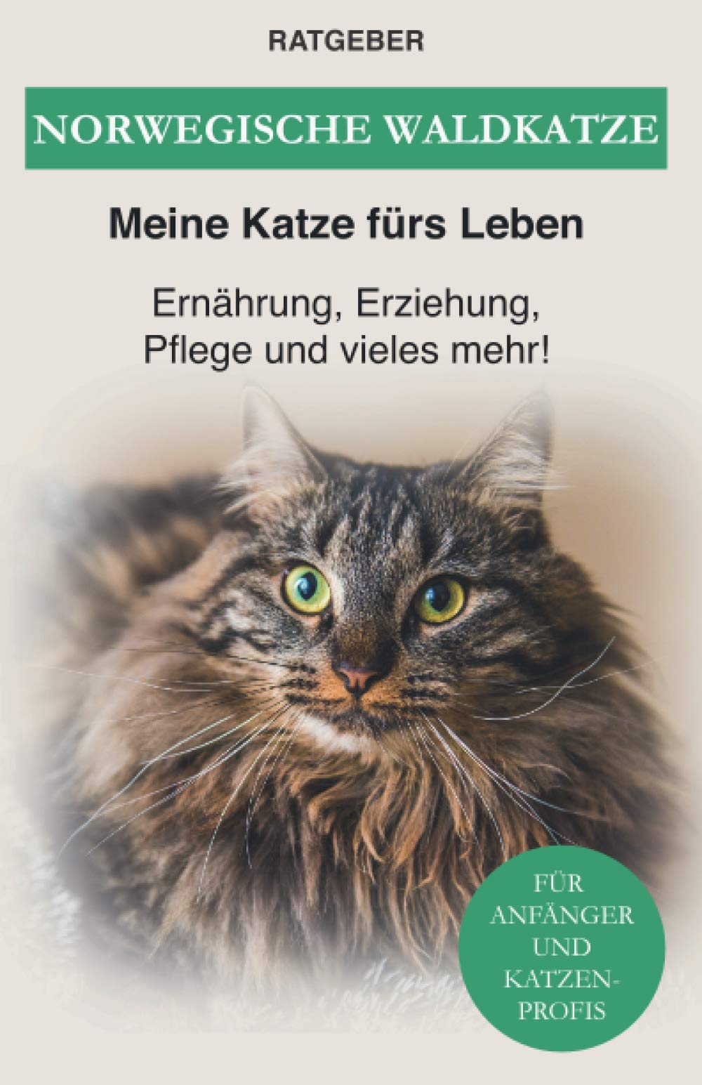 Norwegische Waldkatze: Ernährung, Erziehung, Pflege und vieles mehr! Pets