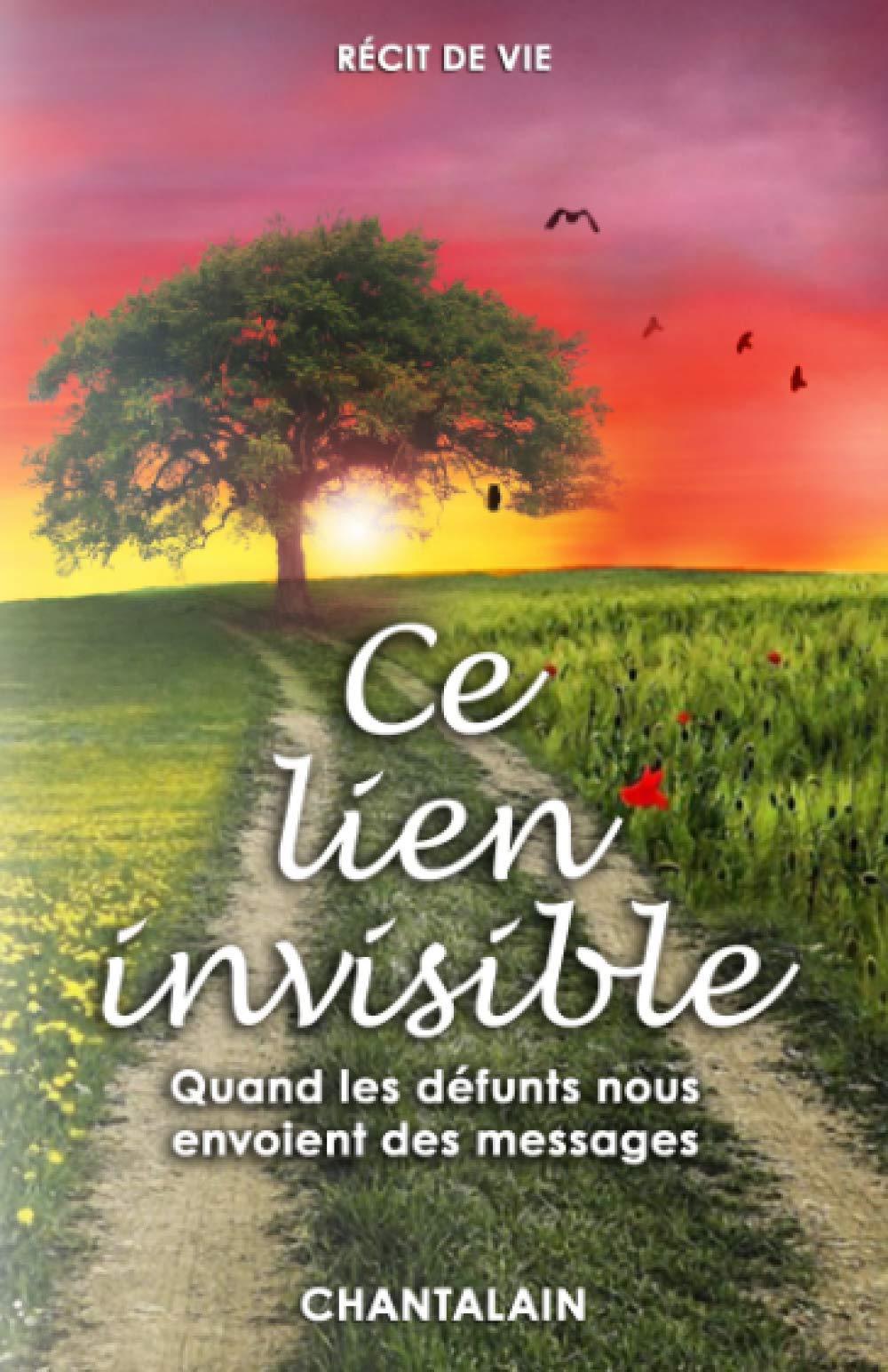Ce Lien Invisible: Quand les défunts nous envoient des messages book