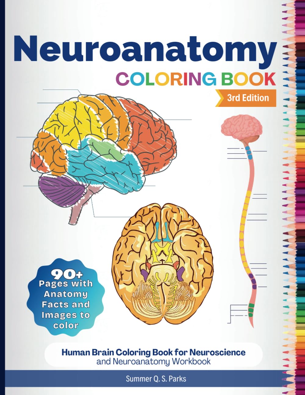 Neuroanatomy Coloring Book: Human Brain Coloring Book for Neuroscience and Neuroanatomy Workbook Medicine