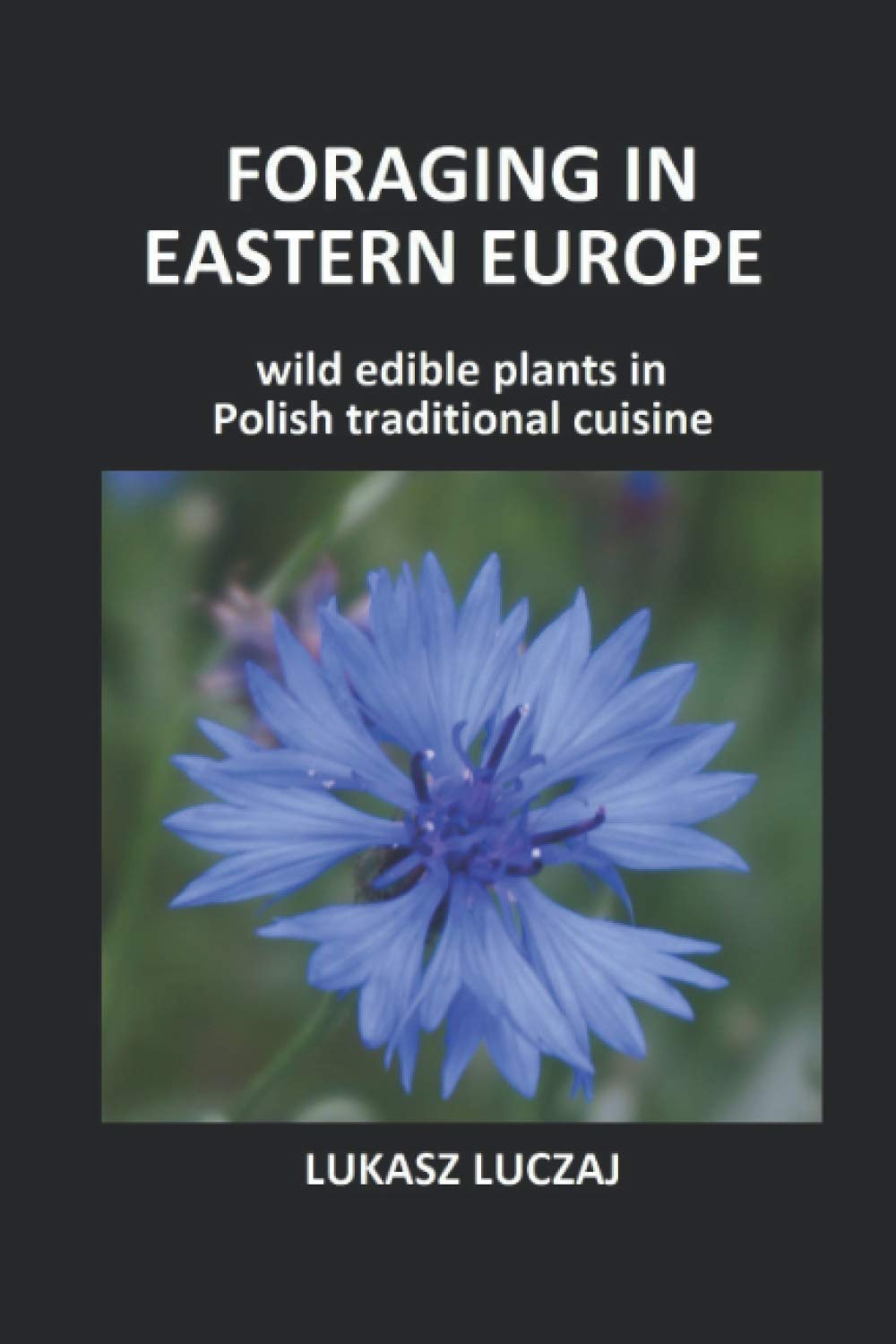 Foraging in Eastern Europe: Wild edible plants in Polish traditional cuisine Mathematics