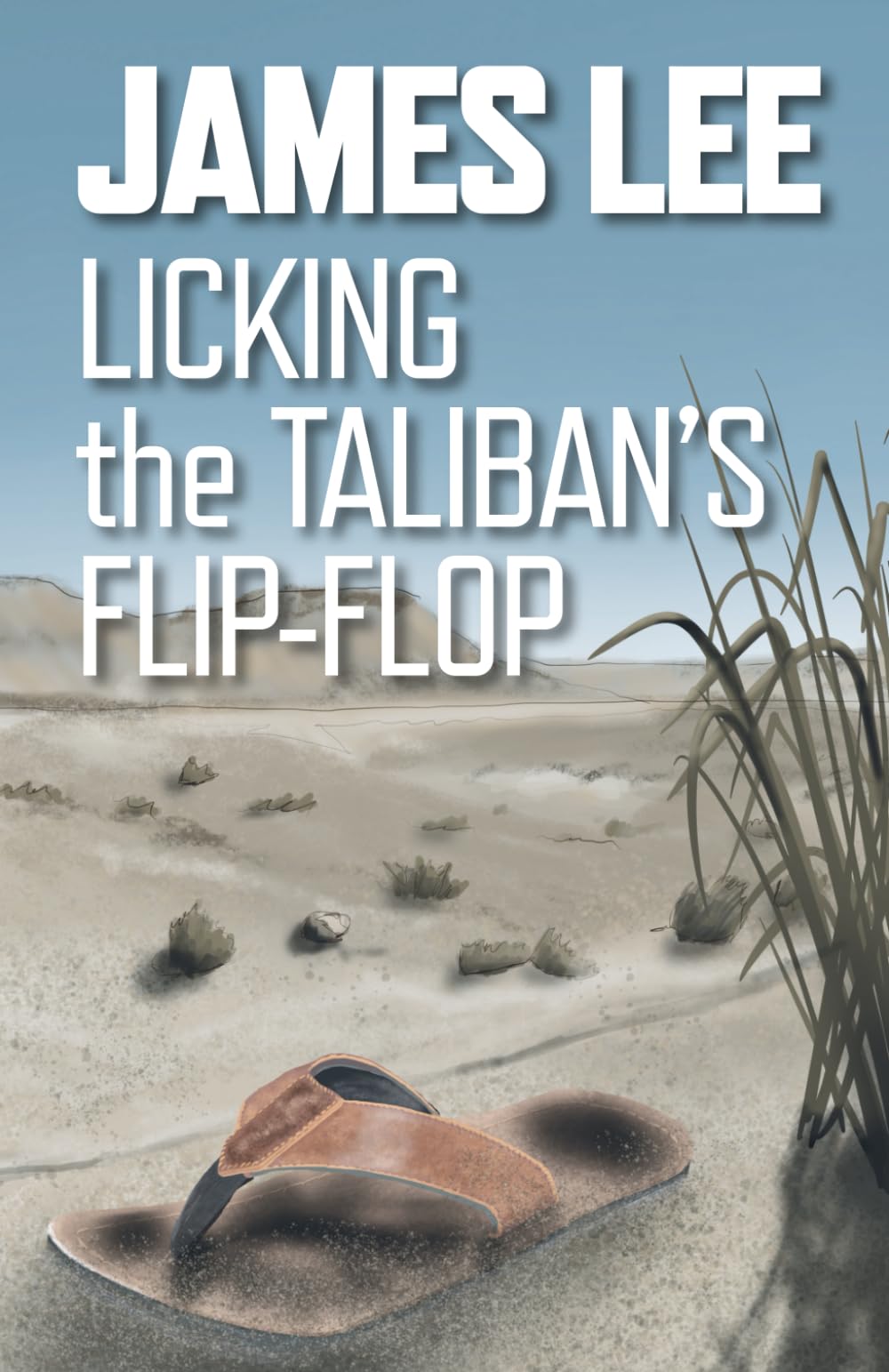 Licking The Taliban's Flip-Flop Cartoons