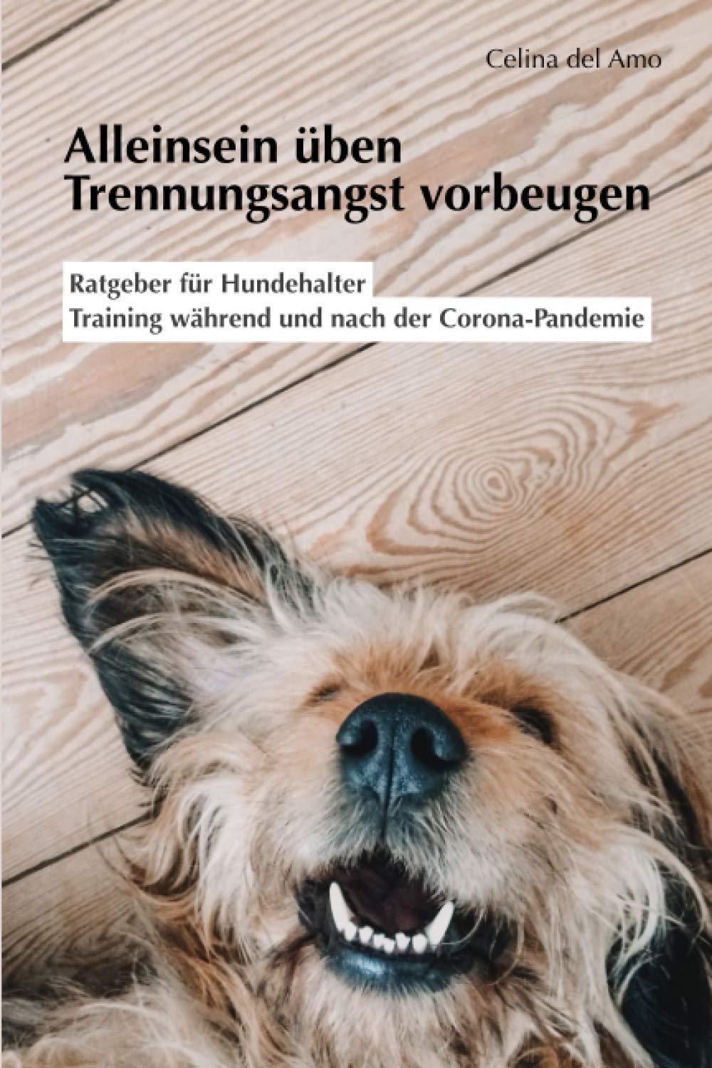 Alleinsein üben - Trennungsangst vorbeugen: Ratgeber für Hundehalter, Training während und nach der Corona-Pandemie Medicine