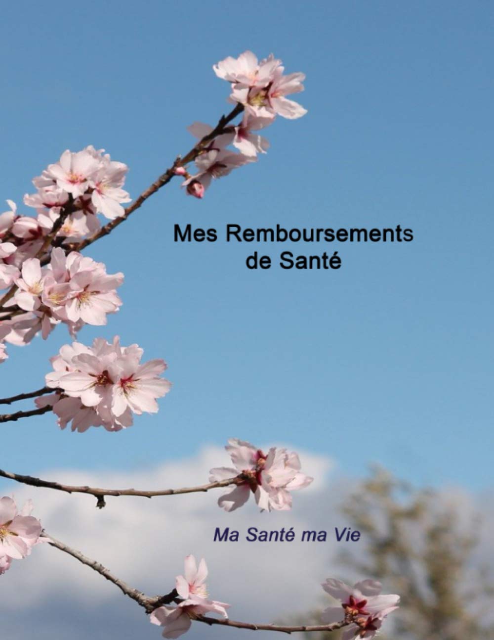 Mes Remboursements de Santé: Pour un suivi et un contrôle de mes dépenses médicales | Un carnet utile pour prendre soin de mon budget (Ma Santé au Quotidien, Band 4) Business, Finance & Career