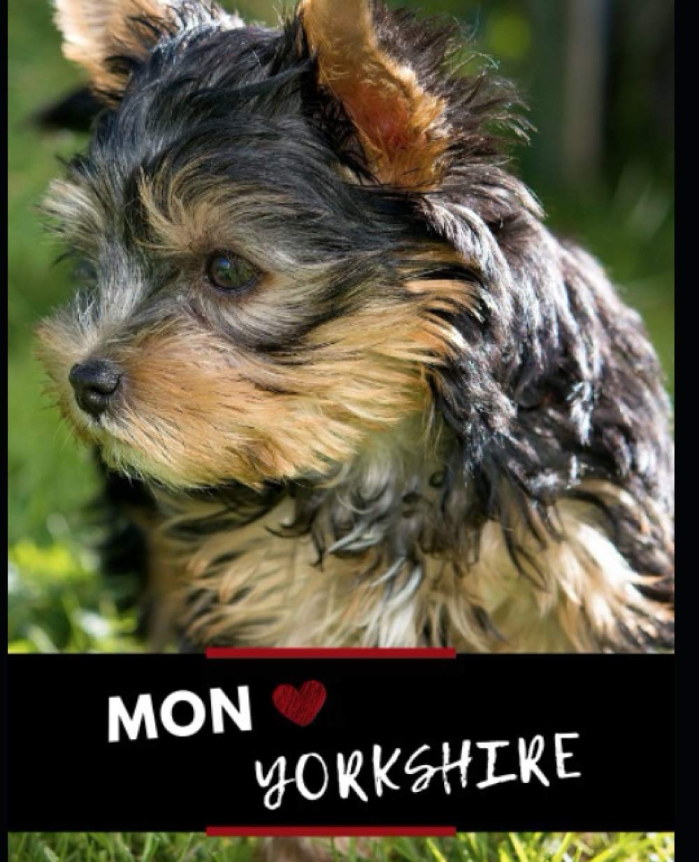 CARNET DE MON YORKSHIRE TERRIER / LIVRE PHOTO DE CHIOT A ADULTE / PLANNING VERMIFUGES VACCINATIONS ANTIPARASITAIRES/ VISITES VETERINAIRES / SPORT & EDUCATION: A REMPLIR / DEDIER A VOTRE YORKSHIRE book