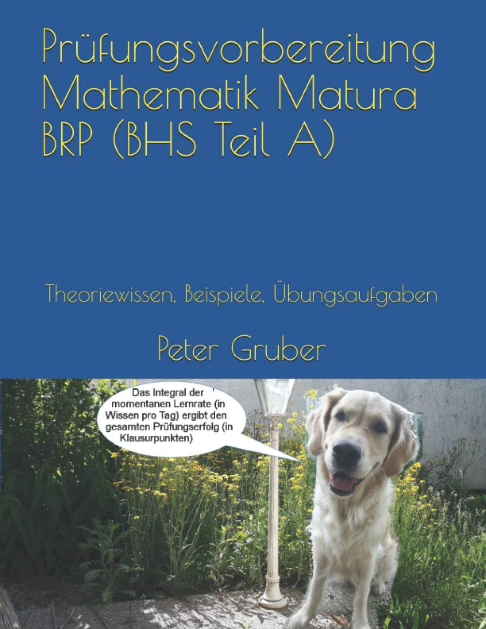 Prüfungsvorbereitung Mathematik Matura BRP (BHS Teil A): Theoriewissen, Beispiele, Übungsaufgaben Mathematics
