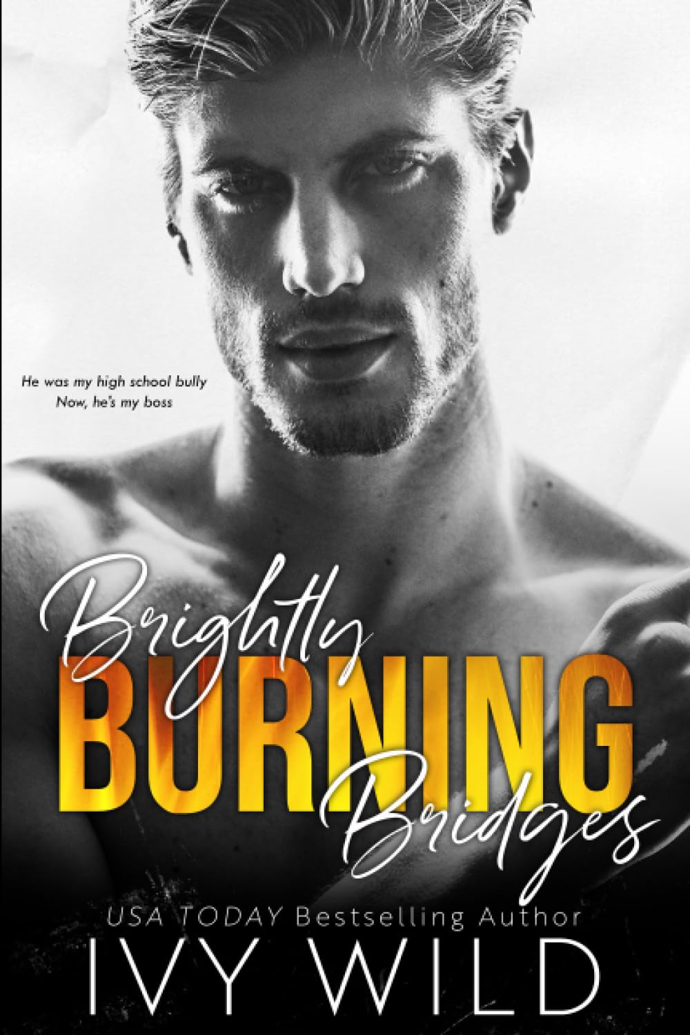 Brightly Burning Bridges: A Bully Romance (Kings of Capital) New Adult
