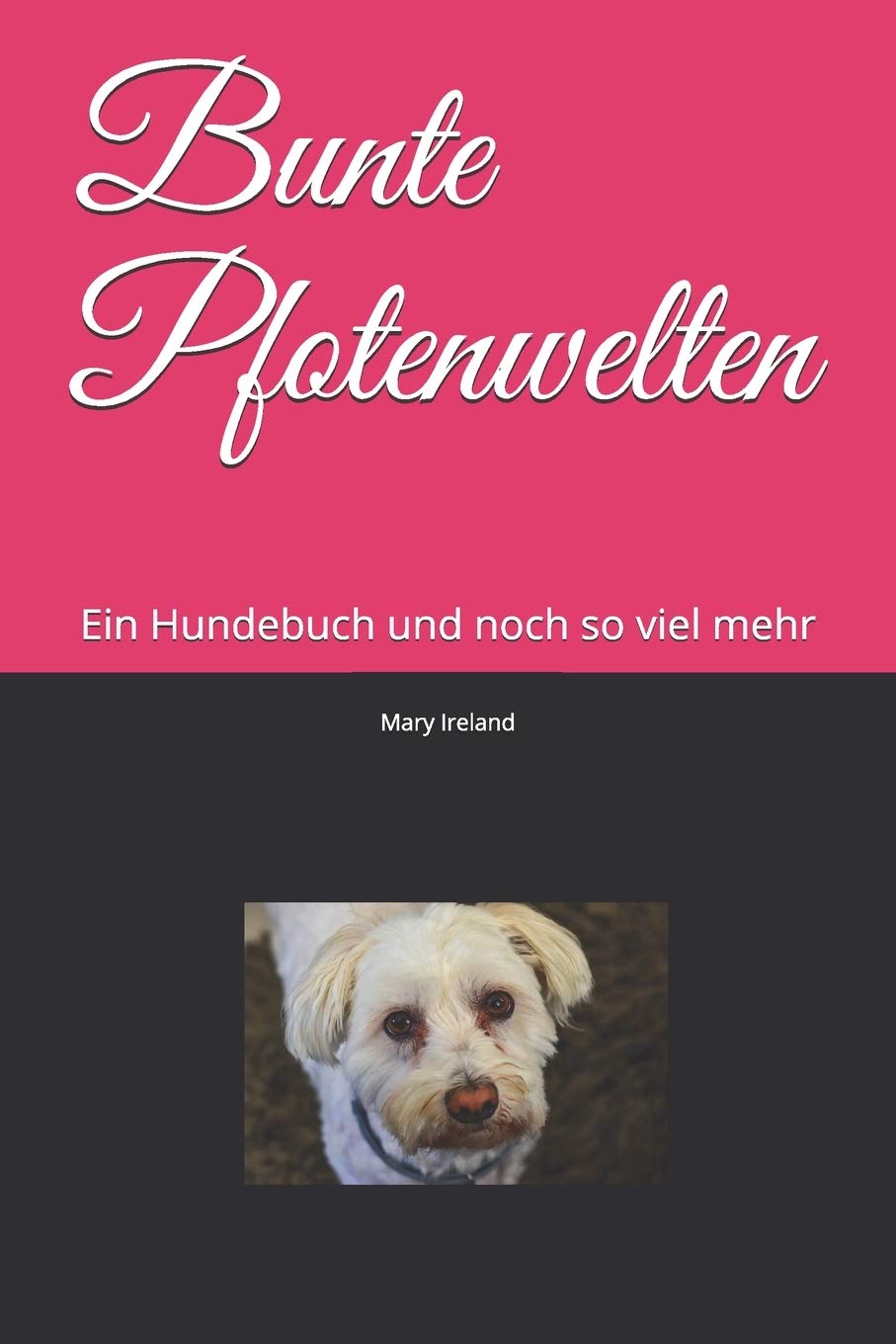 Bunte Pfotenwelten: Ein Hundebuch und noch so viel mehr Contemporary literature