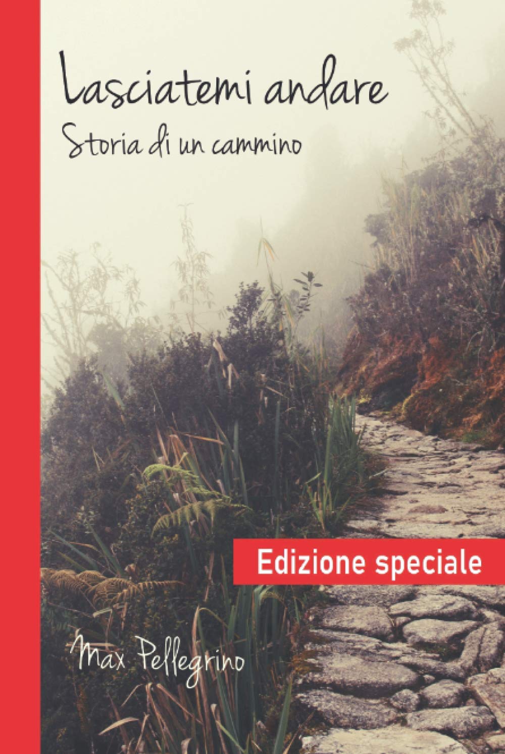 Lasciatemi andare: Storia di un cammino book