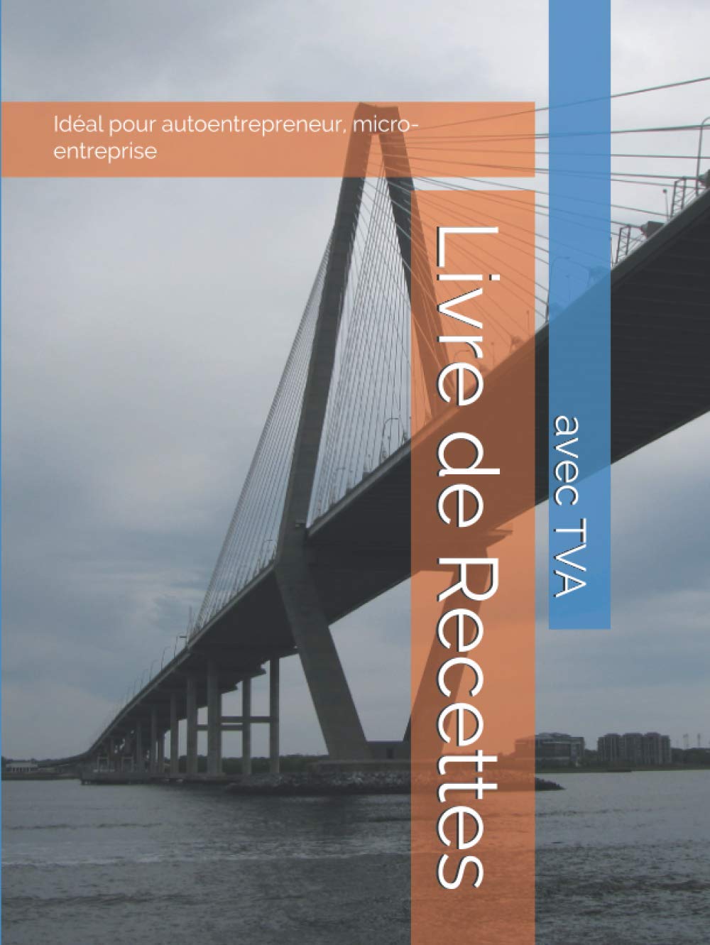 Livre de Recettes: avec TVA Idéal pour autoentrepreneur, micro-entreprise Business, Finance & Career