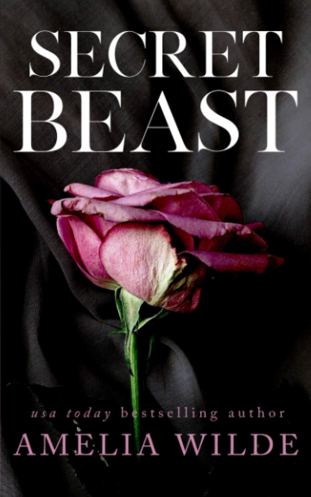 Secret Beast (Beast of Bishop's Landing, Band 1) Fairy Tales & Legends