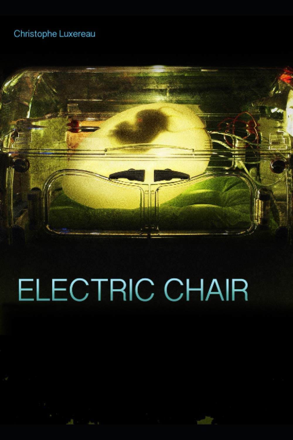 Electric chair: chroniques corpuséennes, futur proche Natural Sciences