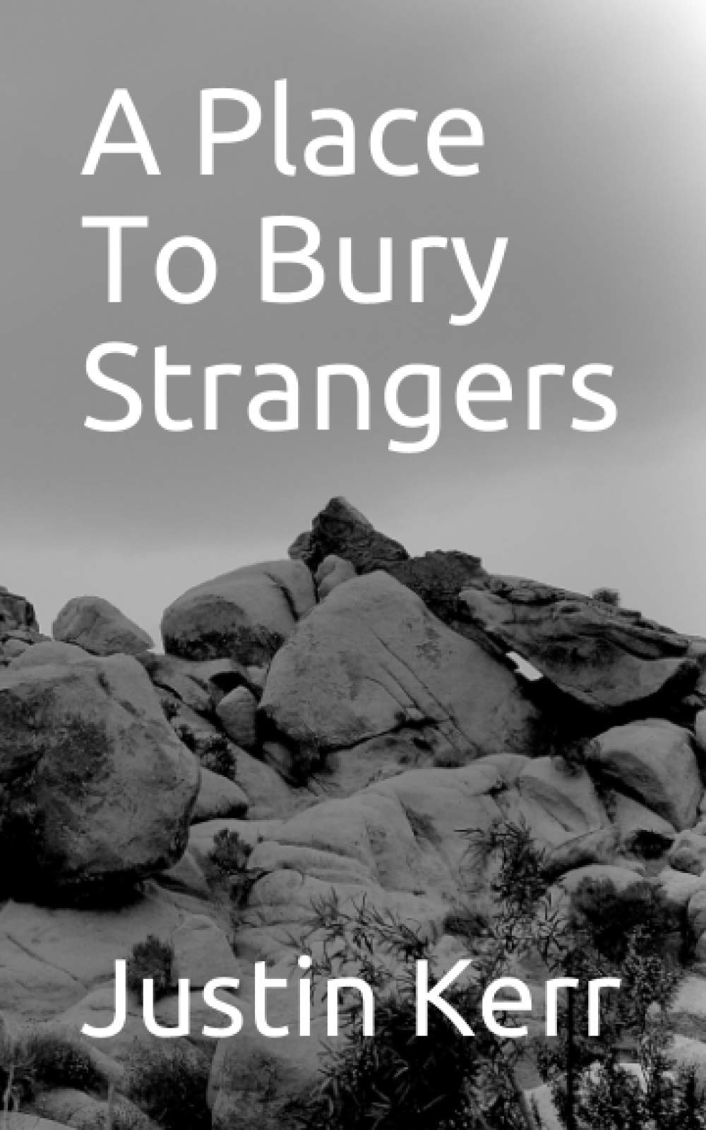 A Place To Bury Strangers (Justin Kerr's High Desert Classics, Band 1) Detective & CSI