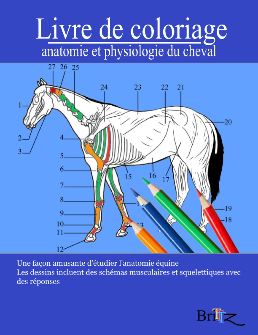 Livre de coloriage anatomie et physiologie du cheval: Un guide détaillé de l'anatomie équine avec des réponses | Cadeau parfait pour les étudiants ... des animaux, les adultes et les adolescents Medicine