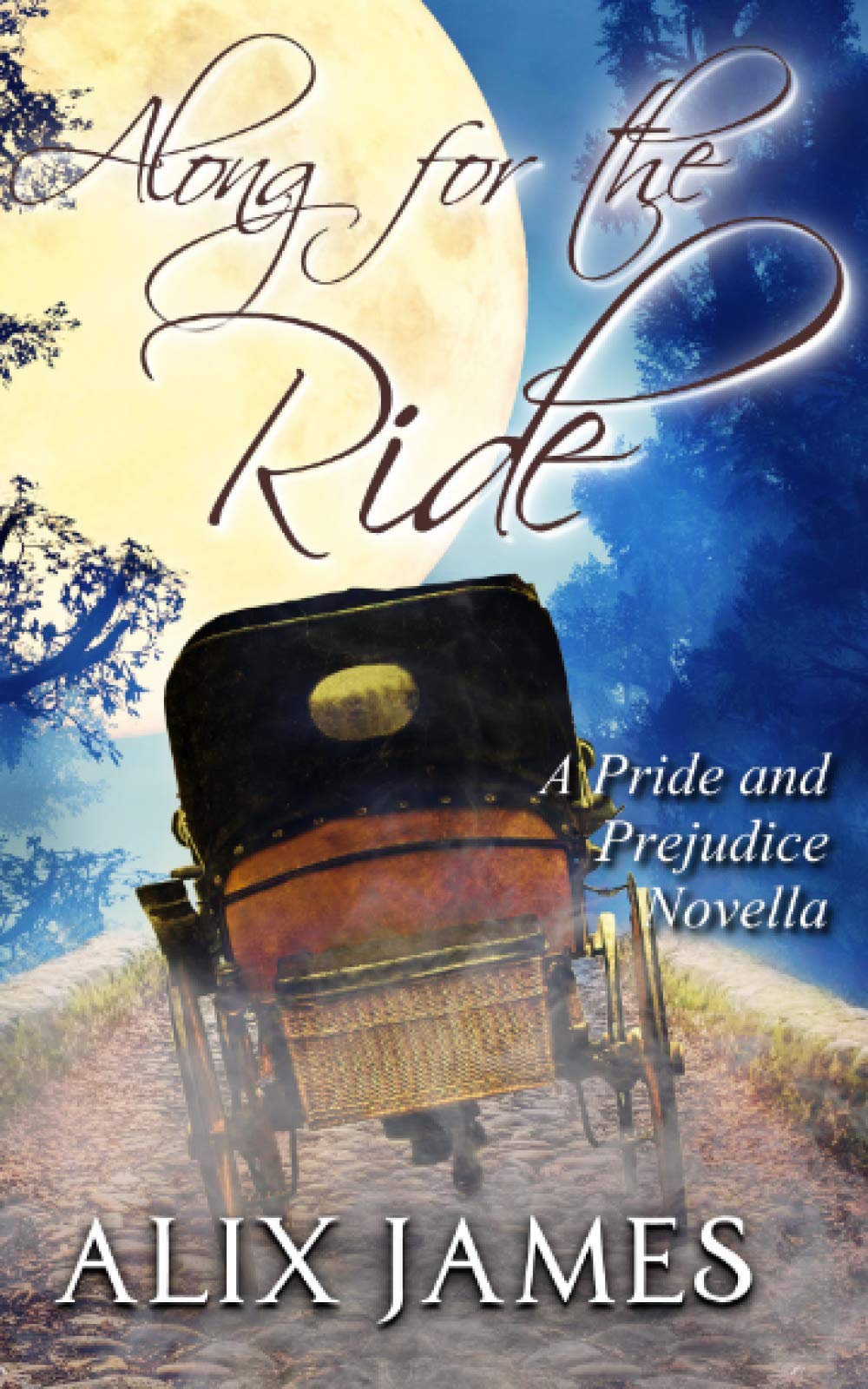 Along for the Ride: A Pride and Prejudice Novella (Elizabeth Bennet: Sweet Dreams) Contemporary Romance