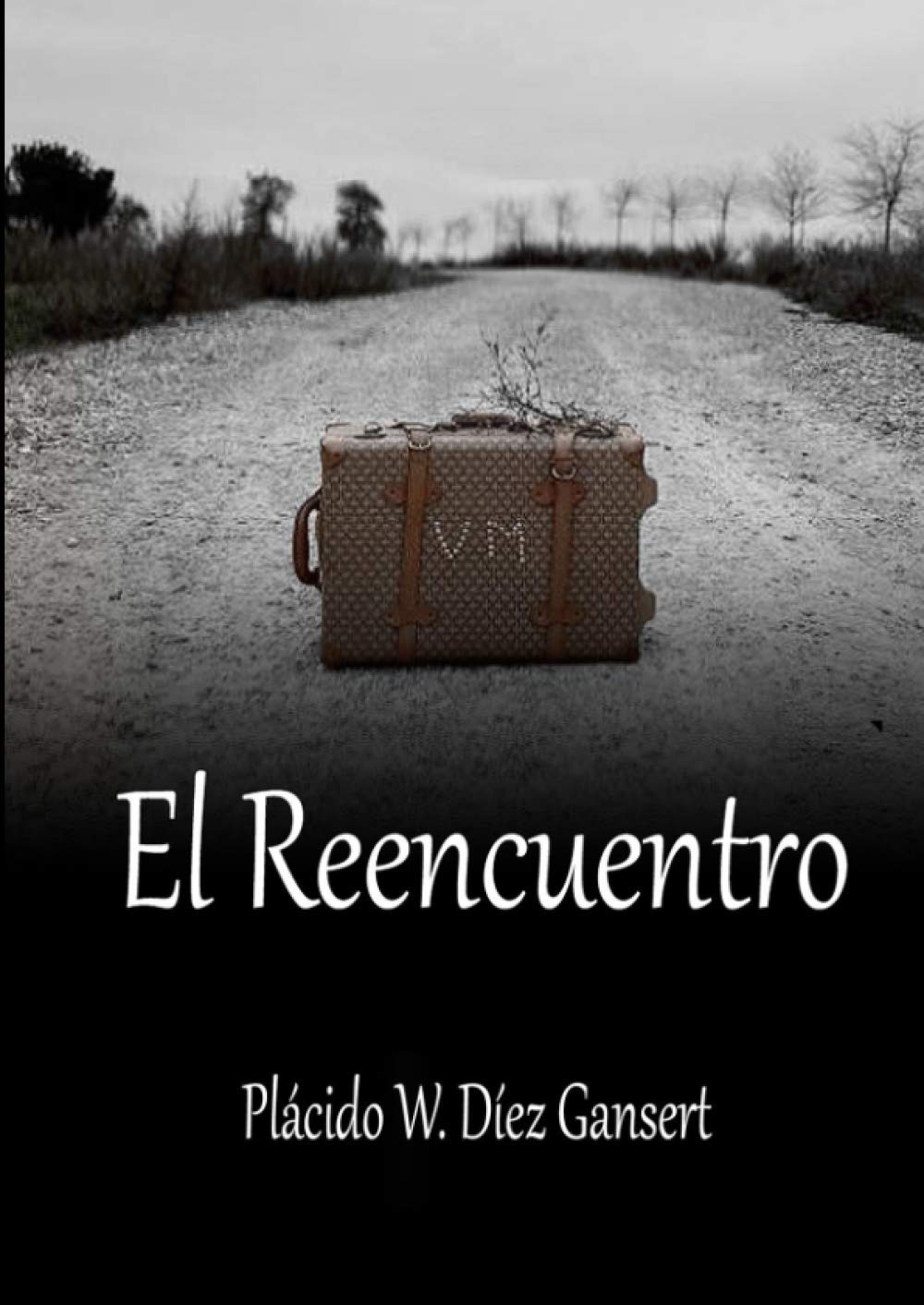 El Reencuentro: Crónica de un inadaptado book
