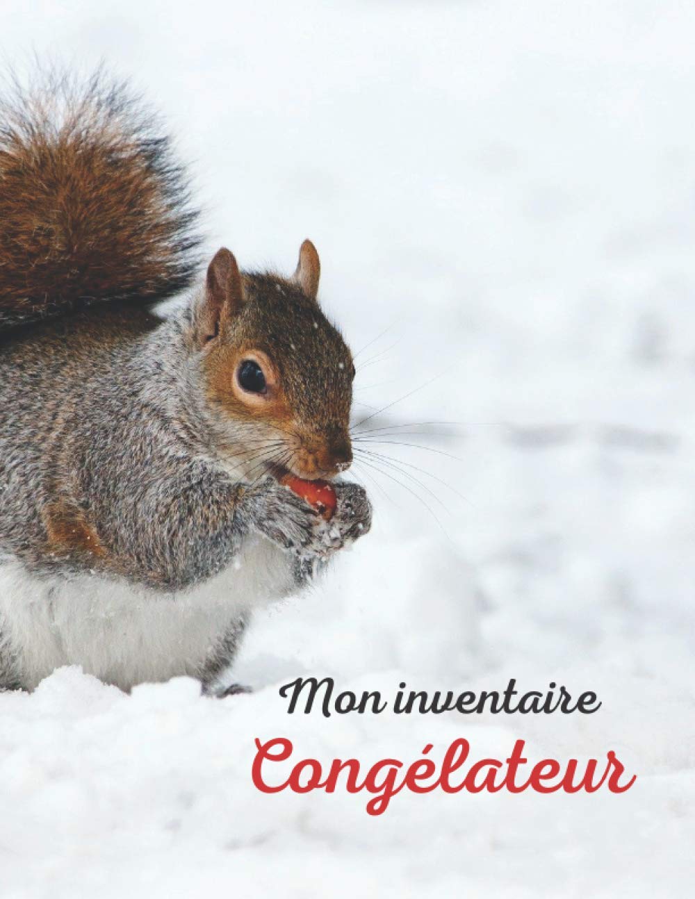 Mon inventaire Congélateur: Livre de bord à compléter pour créer l'inventaire de son congélateur + 1 page sur la durée de conservation des aliments congelés / surgelés, grand format, 70 pages Home & Household