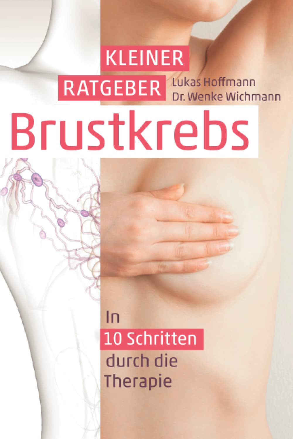 Kleiner Ratgeber Brustkrebs: In 10 Schritten durch die Therapie book
