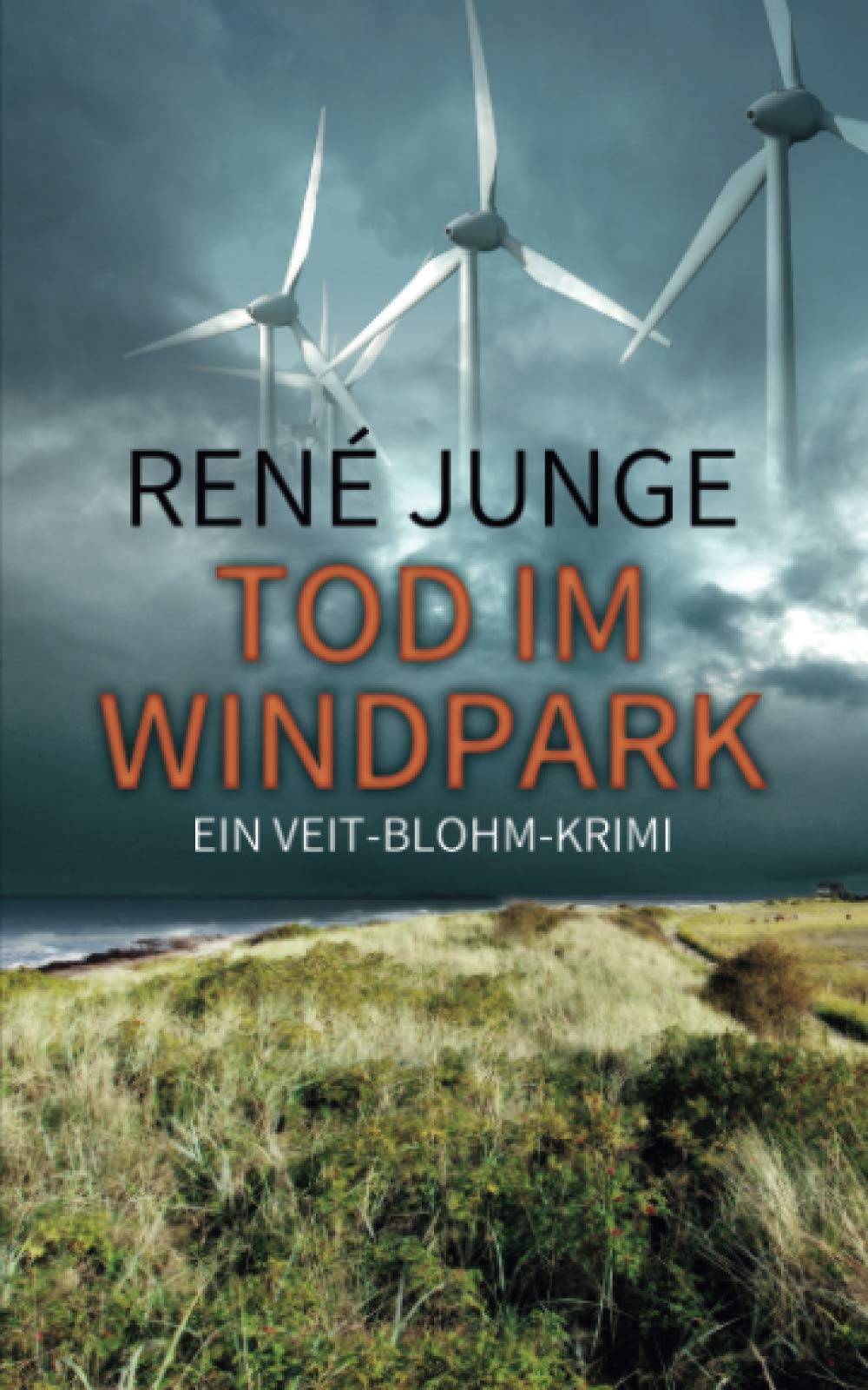 Tod im Windpark (Veit Blohm Krimis, Band 3) Detective & CSI
