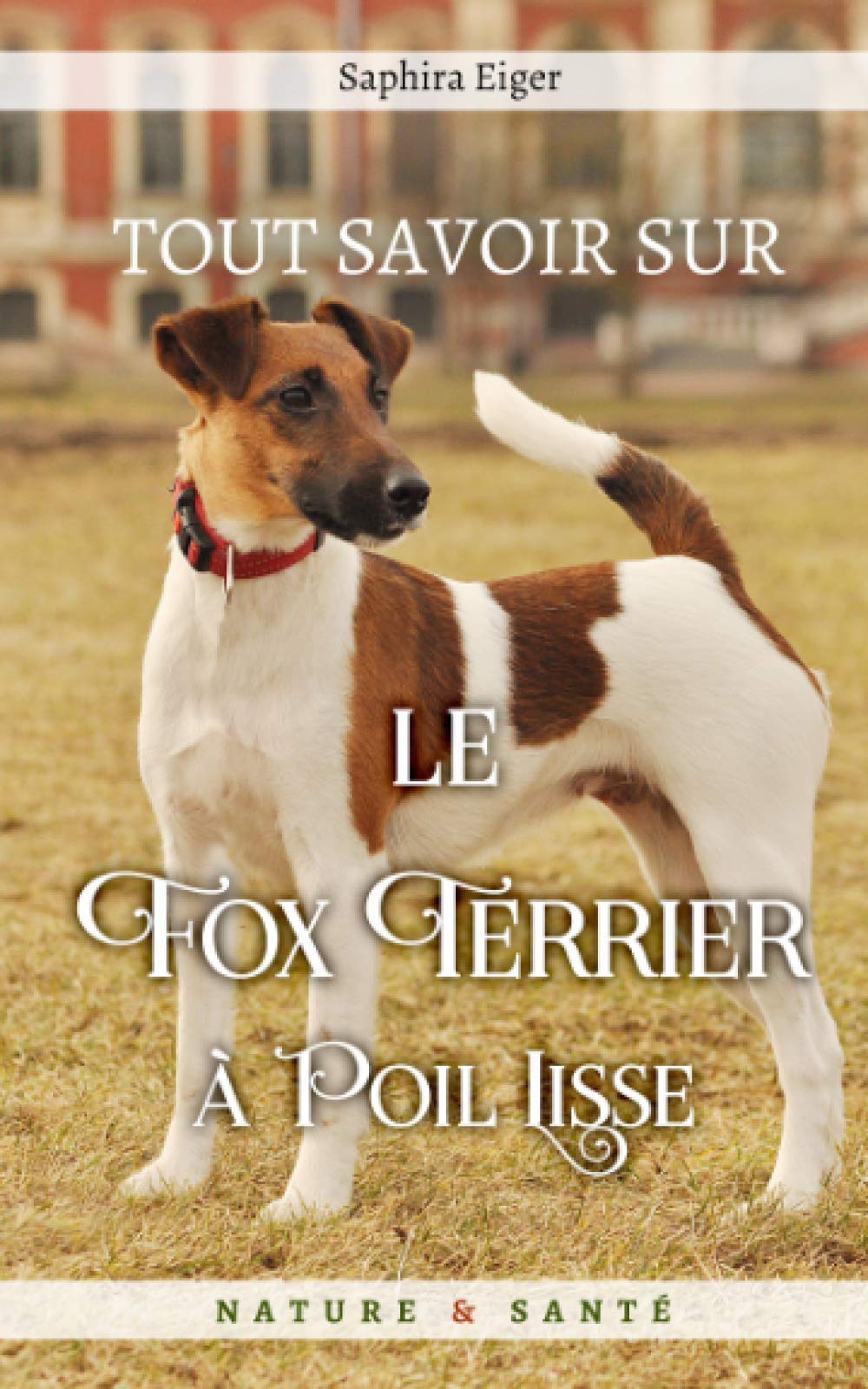 Tout Savoir sur le Fox Terrier à Poil Lisse (Mon Ami Le Chien) Pets