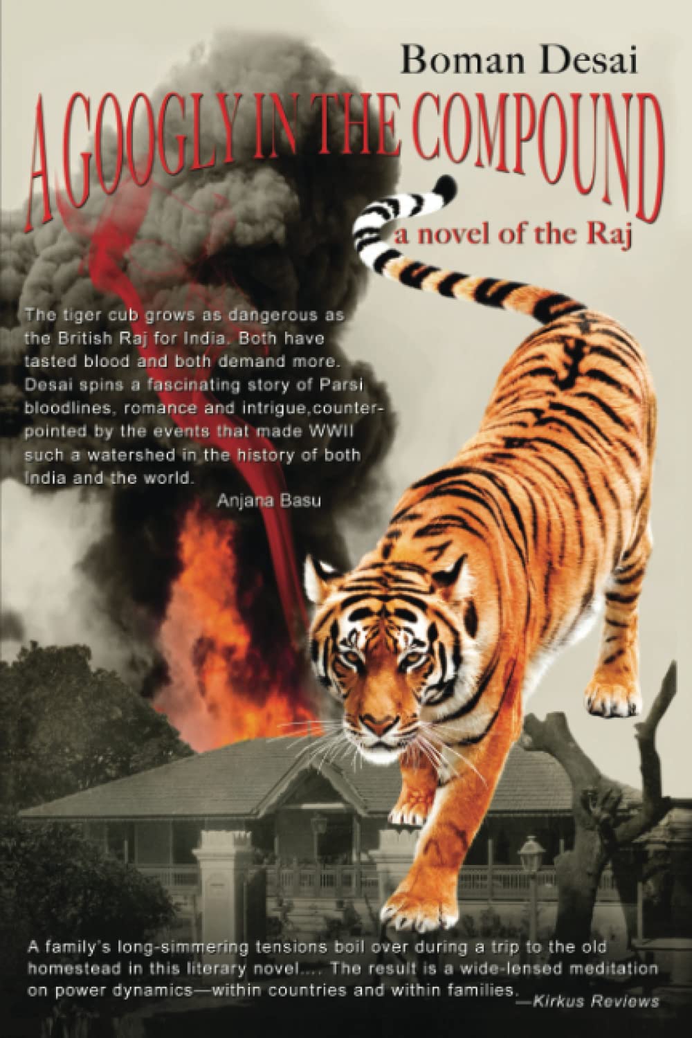 A Googly in the Compound: a novel of the Raj Historical Fiction