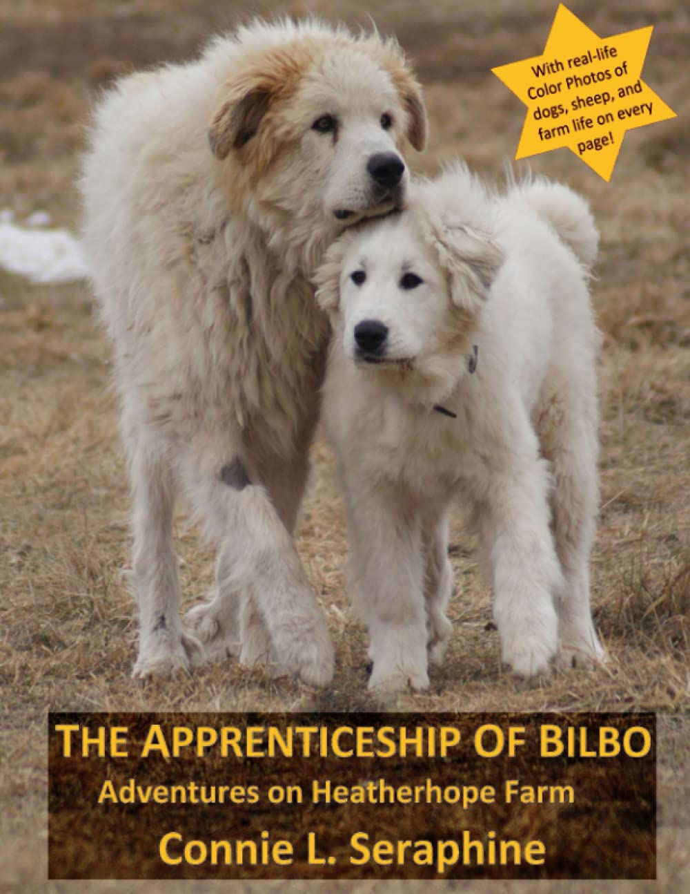 The Apprenticeship of Bilbo: Adventures on Heatherhope Farm Novels & Short Stories
