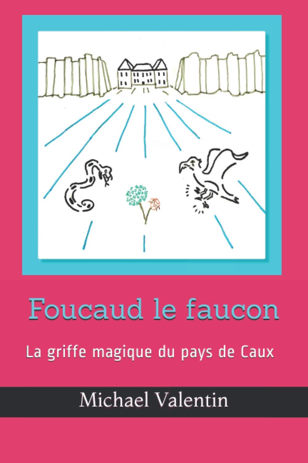 Foucaud le Faucon: La griffe magique du pays de Caux Non-fiction