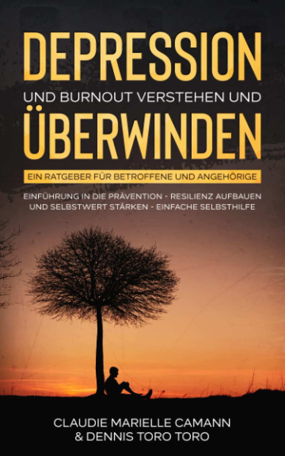 DEPRESSION UND BURNOUT VERSTEHEN UND ÜBERWINDEN: Ein Ratgeber für Betroffene und Angehörige. Einführung in die Prävention - Resilienz aufbauen und ... Selbsthilfe (DEPRESSIONEN ÜBERWINDEN) Psychology
