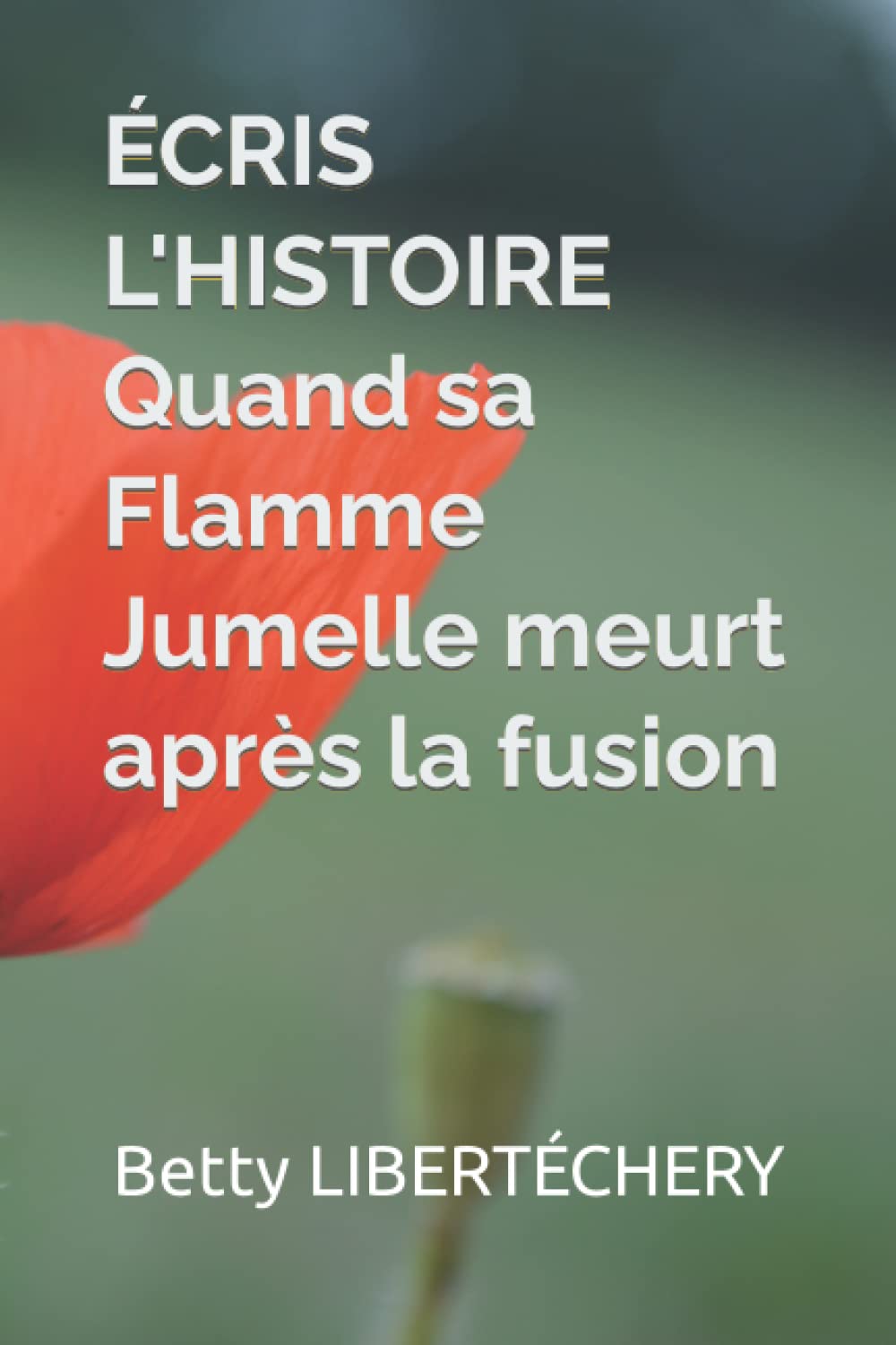 ÉCRIS L'HISTOIRE Quand sa Flamme Jumelle meurt après la fusion Self-help
