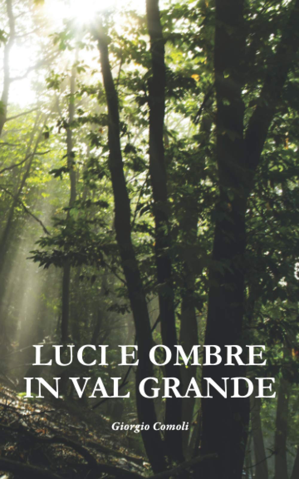 LUCI E OMBRE IN VAL GRANDE: In questa seconda avventura, il commissario Romano affronta un’indagine nella quale sono coinvolti i Servizi Segreti e un gruppo di terroristi. book