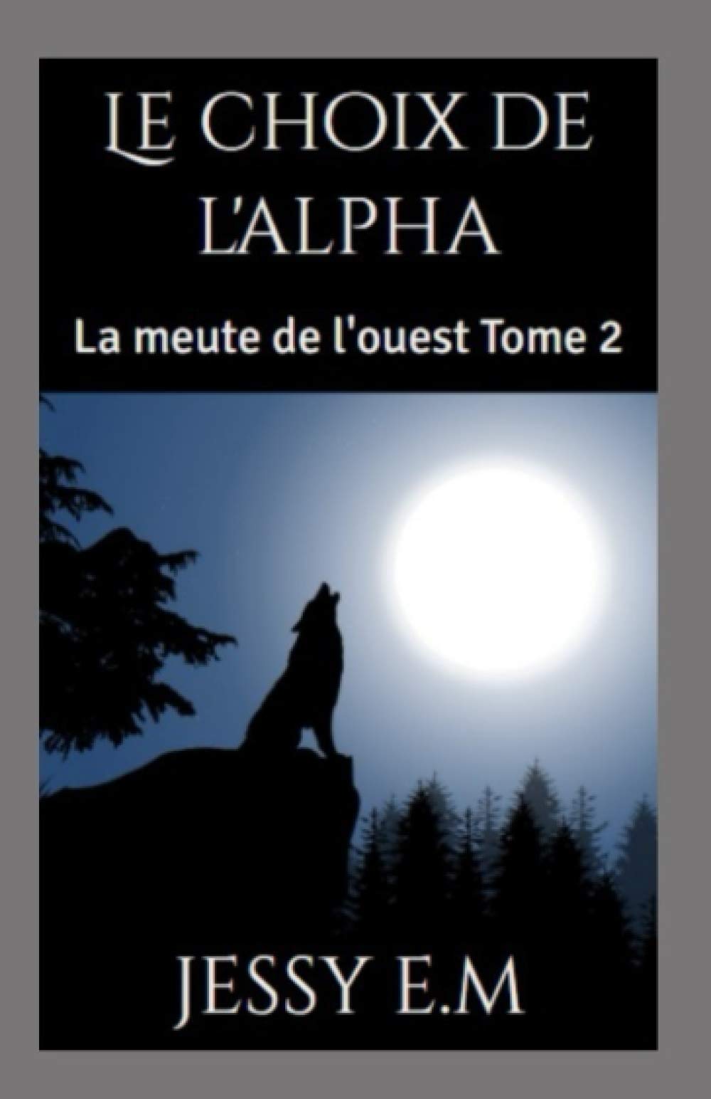 Le choix de l'Alpha: La meute de l'ouest Tome 2 book