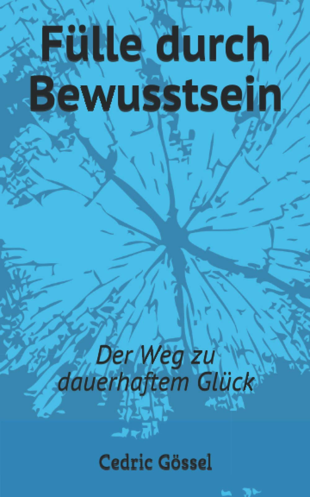 Fülle durch Bewusstsein: Der Weg zu dauerhaftem Glück: Der Weg zu dauerhaftem Glck Self-help