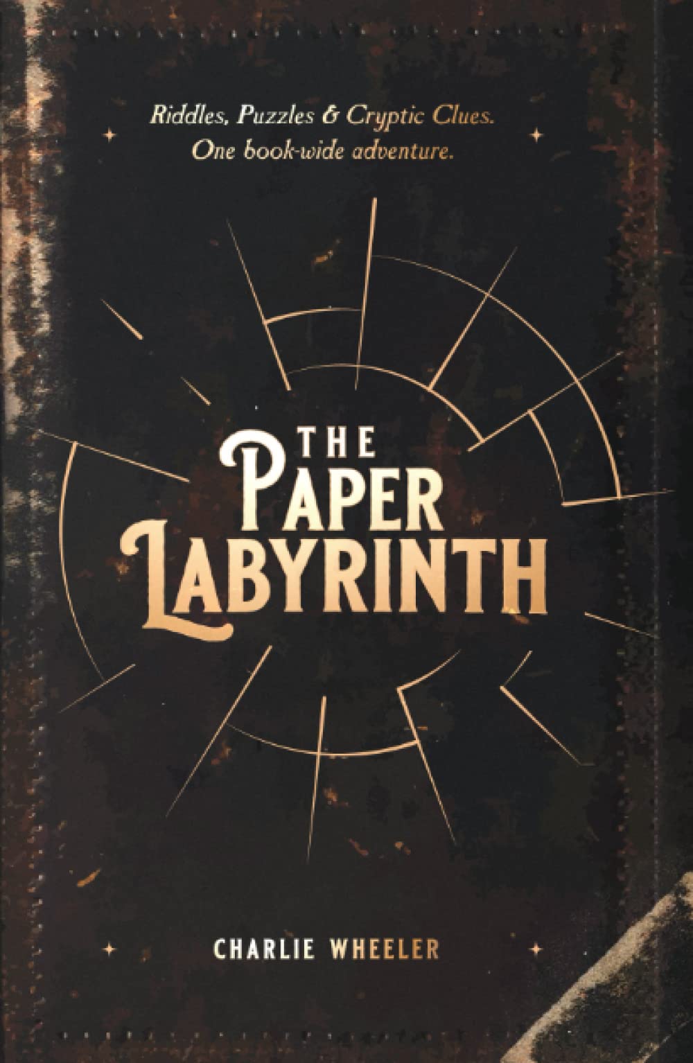 The Paper Labyrinth: A Book-wide Puzzle Solving Adventure book