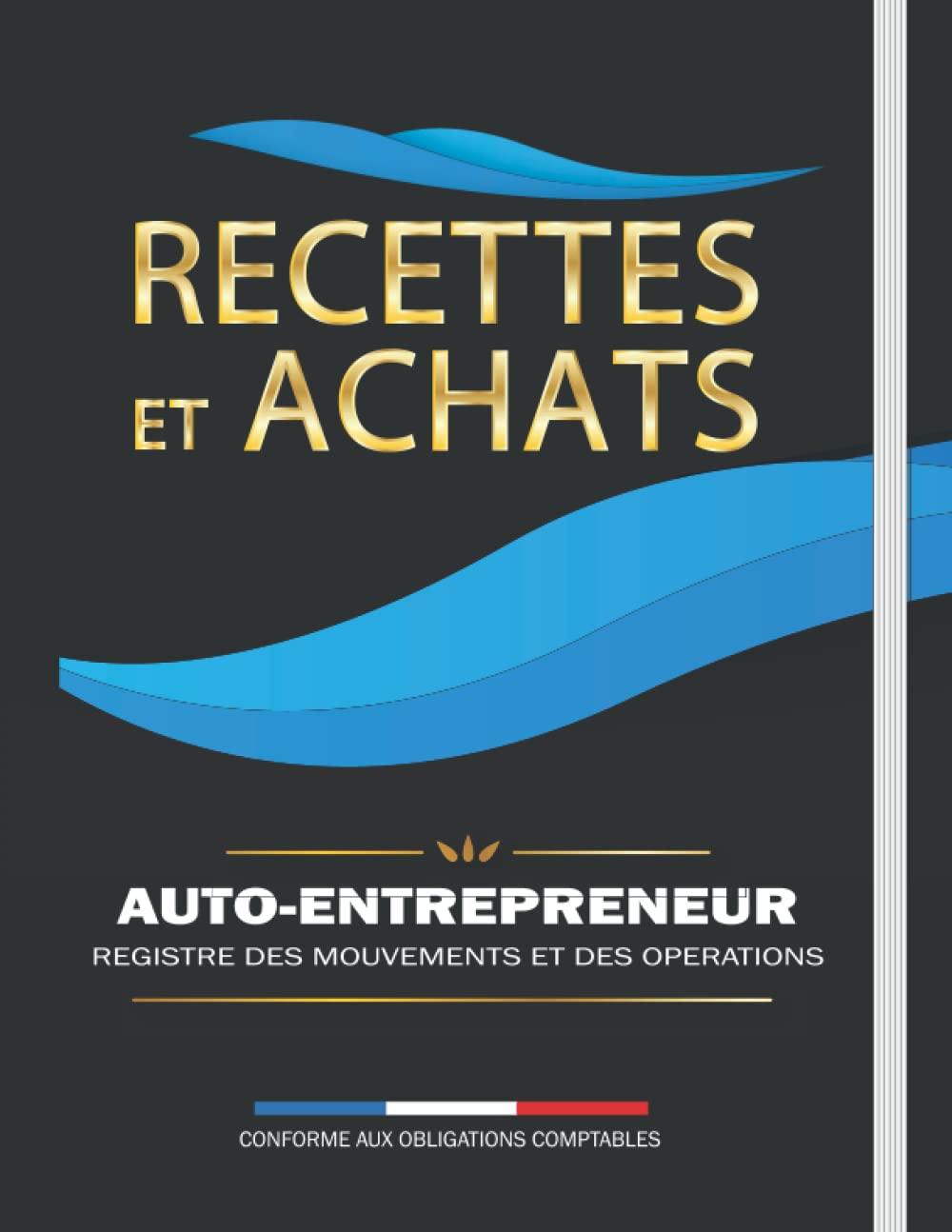 Recettes et Achats – Cahier de comptes Micro entreprise: Auto-entrepreneur - Registre des mouvements et des opérations - Conforme aux obligations ... pages de recettes (2580 lignes comptables) Law