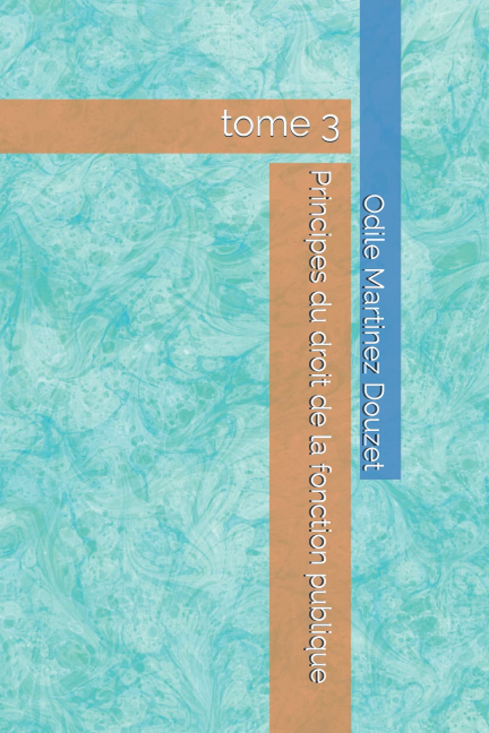Principes du droit de la fonction publique: tome 3 book