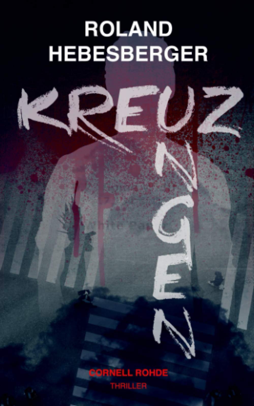 Kreuzungen: Cornell Rohde (Die-Divinus-Saga: Ein Thriller-Buchuniversum, Band 4) Action & Adventure