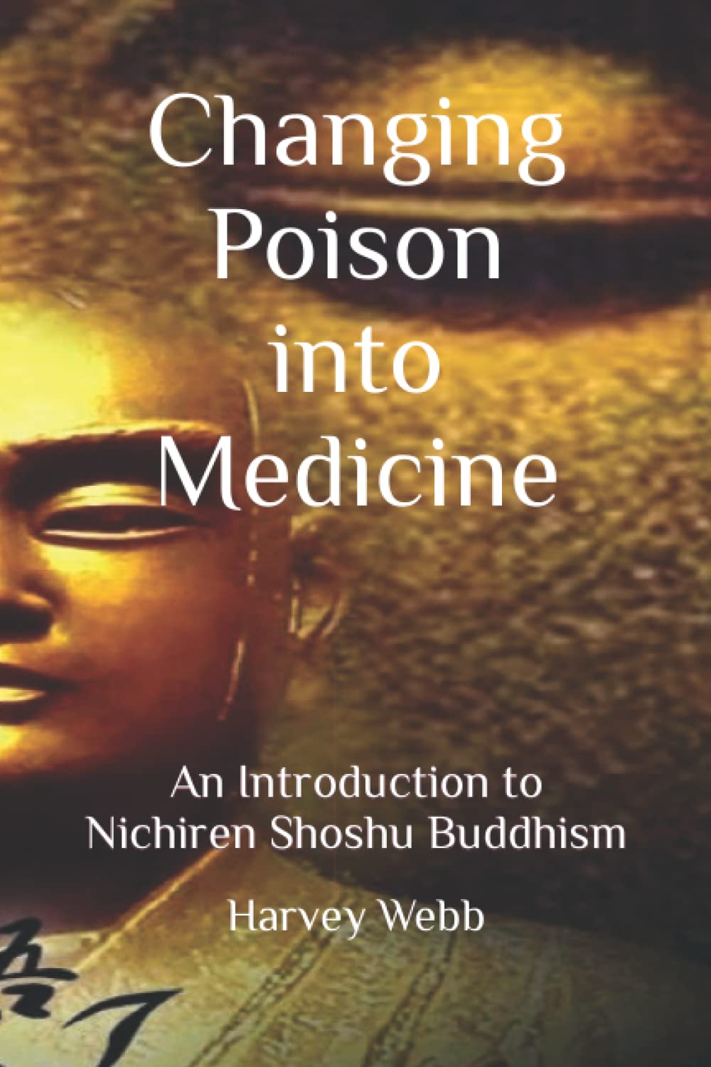 Changing Poison into Medicine: A Manifesto of Spiritual Change for The 21st Century Health, Nutrition & Fitness
