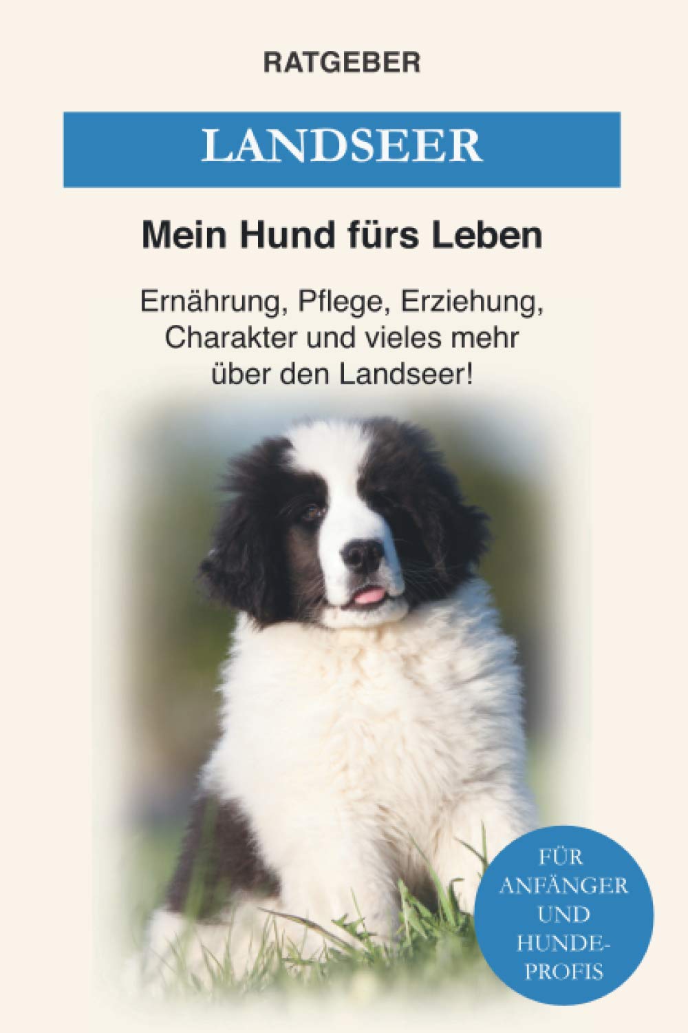 Landseer: Ernährung, Pflege, Erziehung, Charakter und vieles mehr über den Landseer Pets