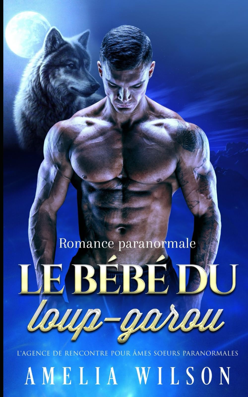 le bébé du loup-garou: Romance paranormale book