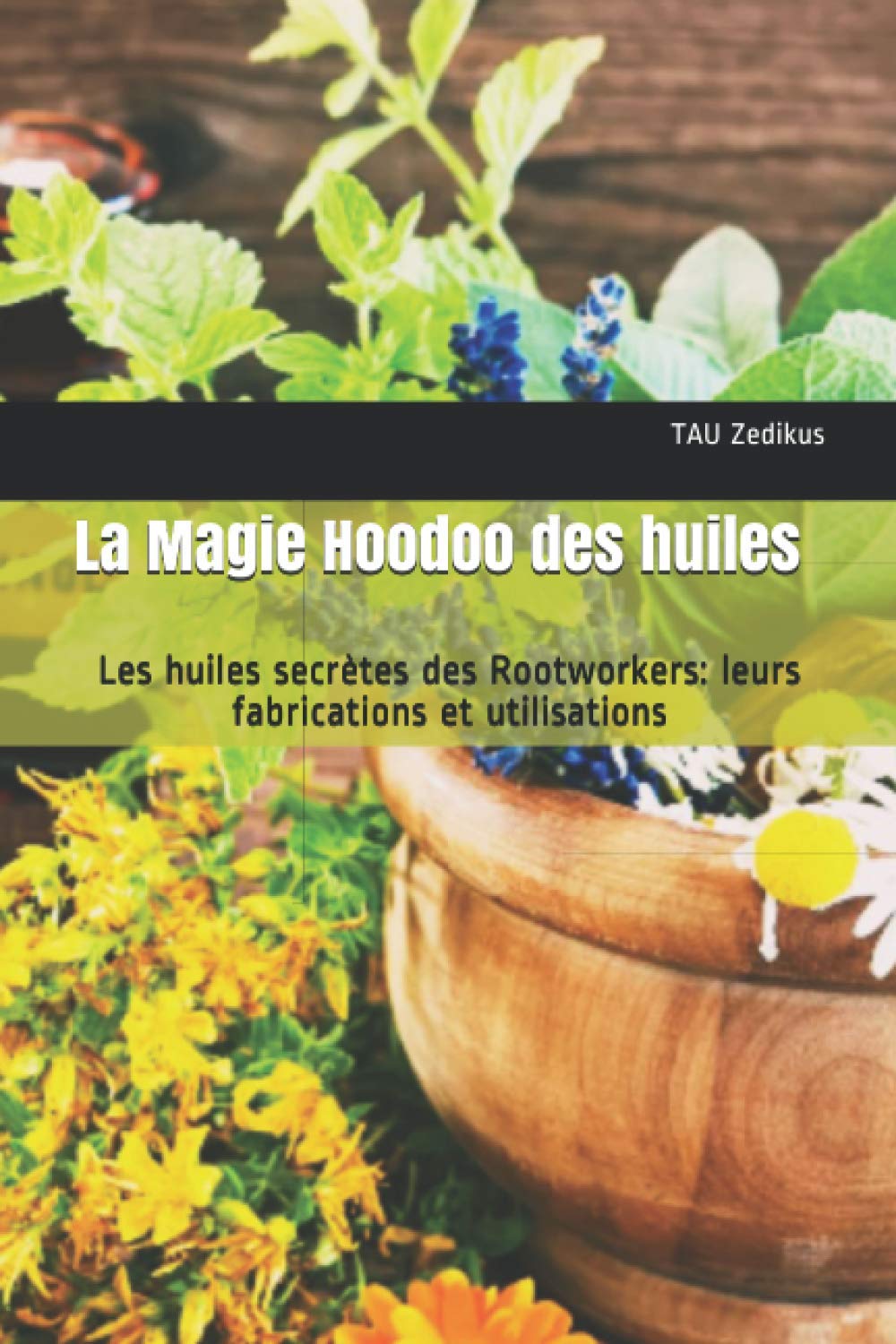 La Magie Hoodoo des huiles: Les huiles secrètes des Rootworkers: leurs fabrications et utilisations book