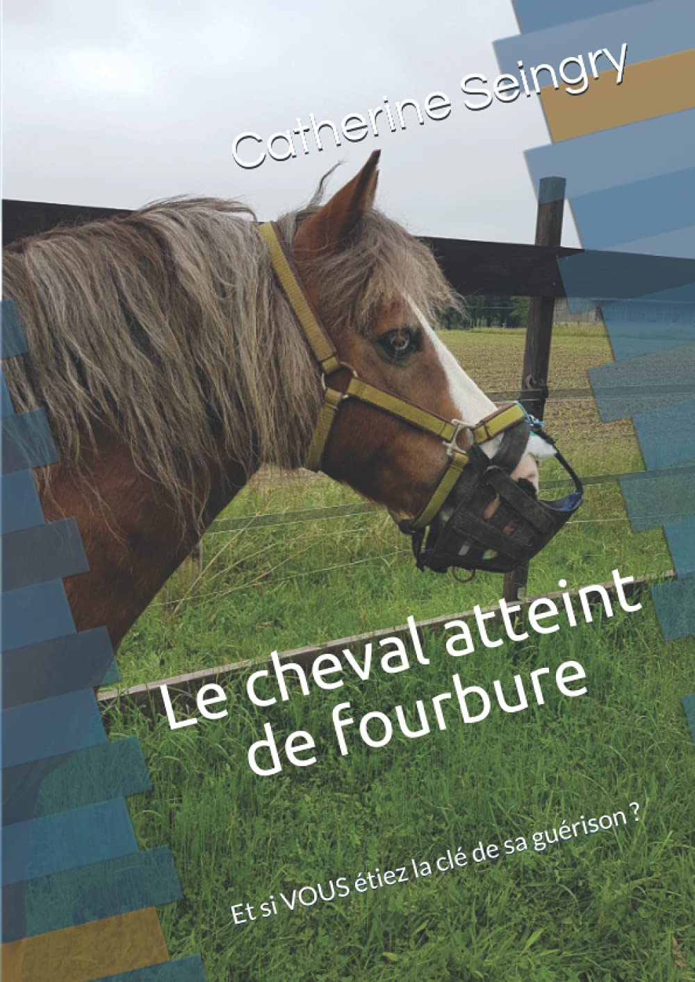 Le cheval atteint de fourbure: Et si VOUS étiez la clé de sa guérison ? book