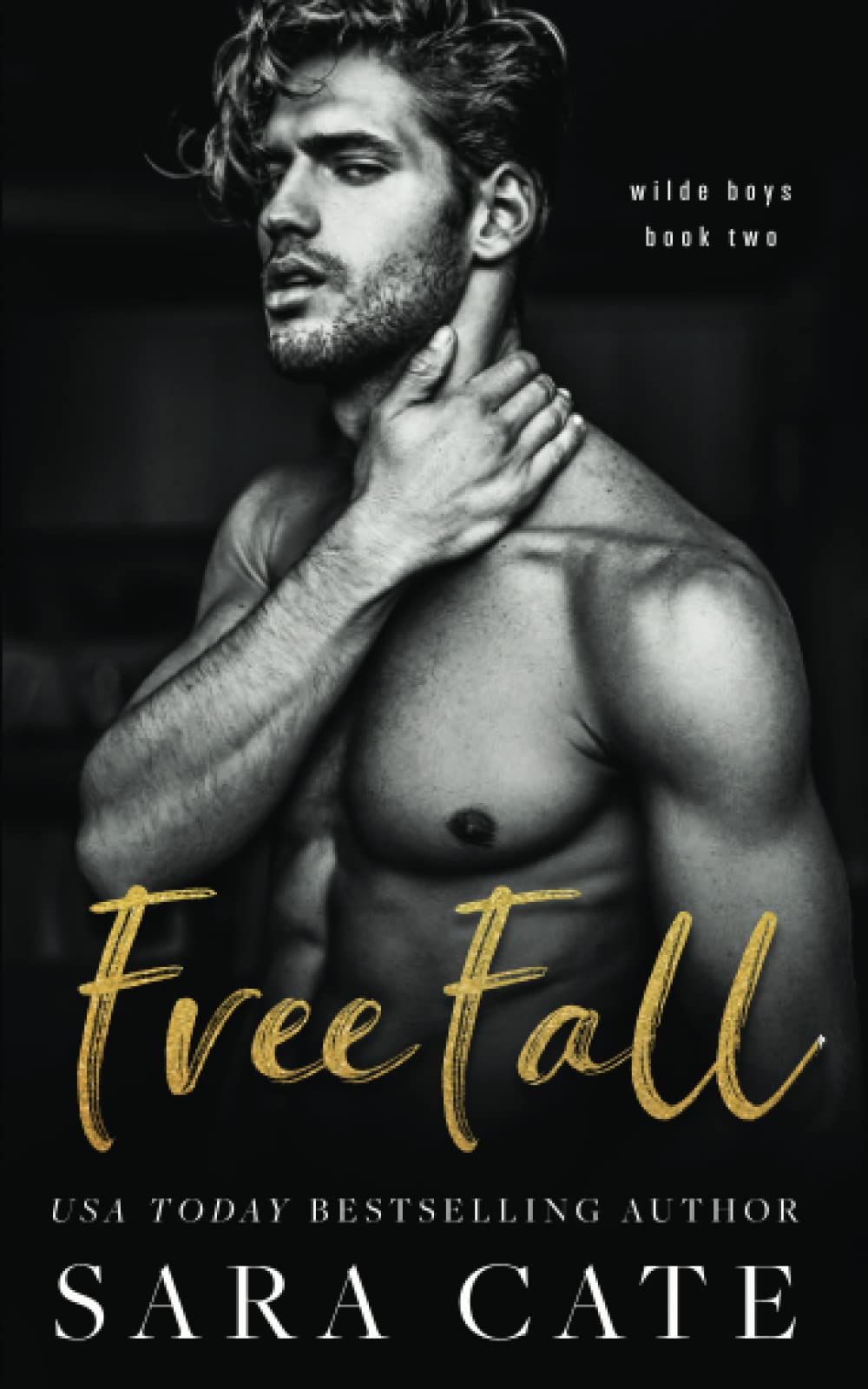 Product Image: Free Fall: an MMF romance (Wilde Boys, Band 2)