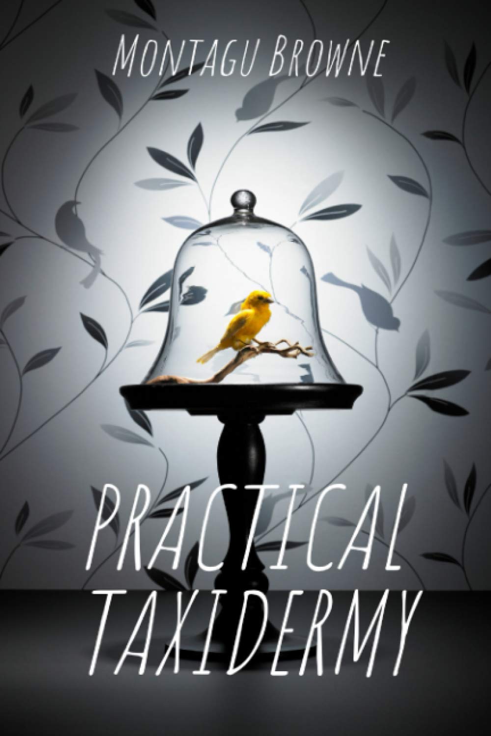 Practical Taxidermy: A comprehensive guide to collecting and preserving natural history specimens Hobbies & Crafts