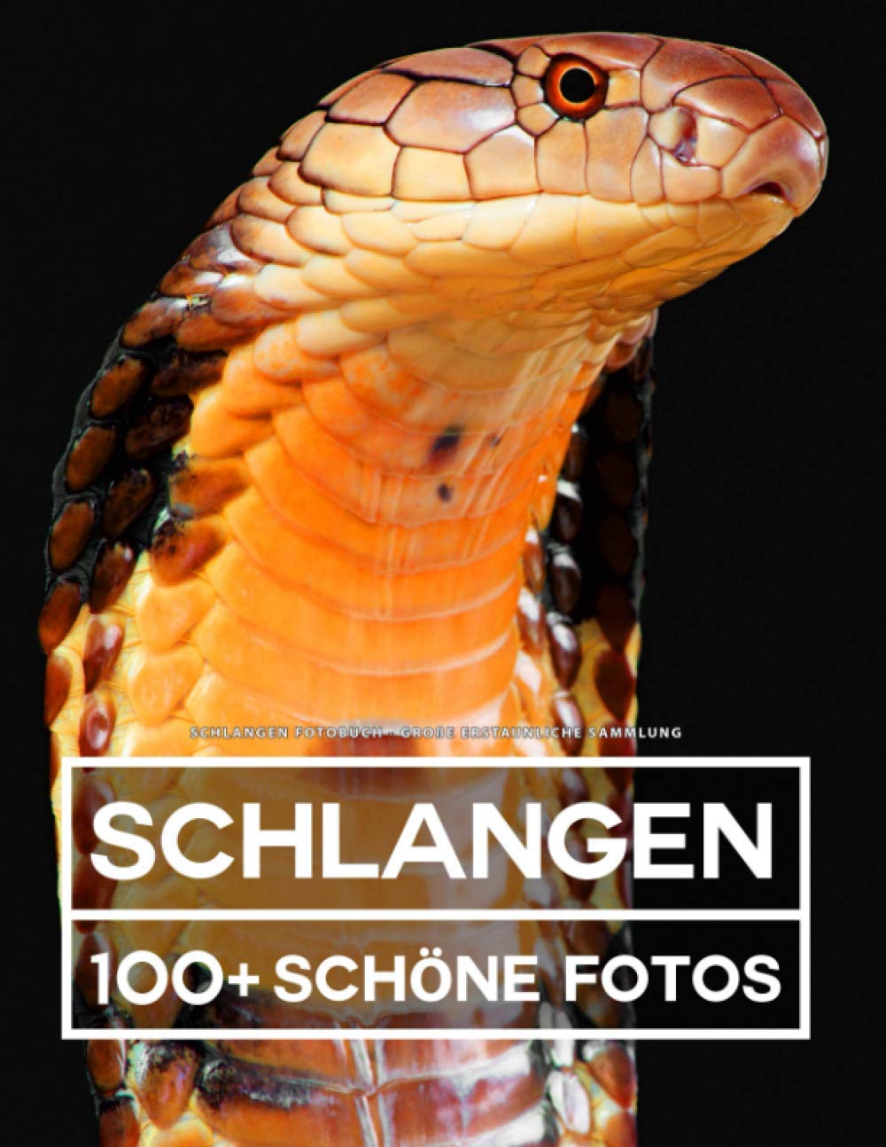 Schlangen Fotobuch - Große Erstaunliche Sammlung: 100 Wunderschöne Bildern - Für Kinder und Erwachsene Nature & Animals