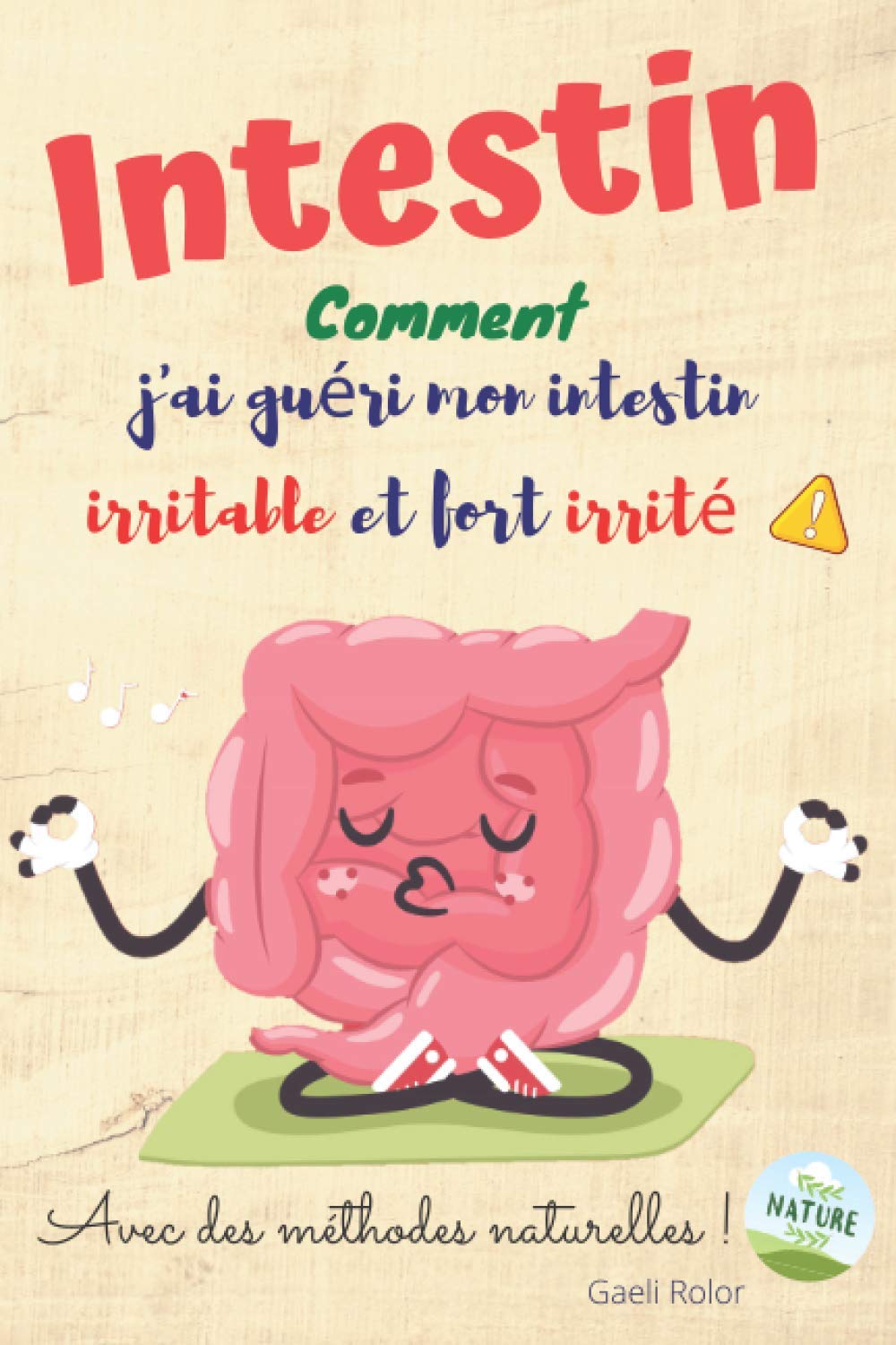 Intestin: Comment j’ai guéri mon intestin irritable et fort irrité ! book