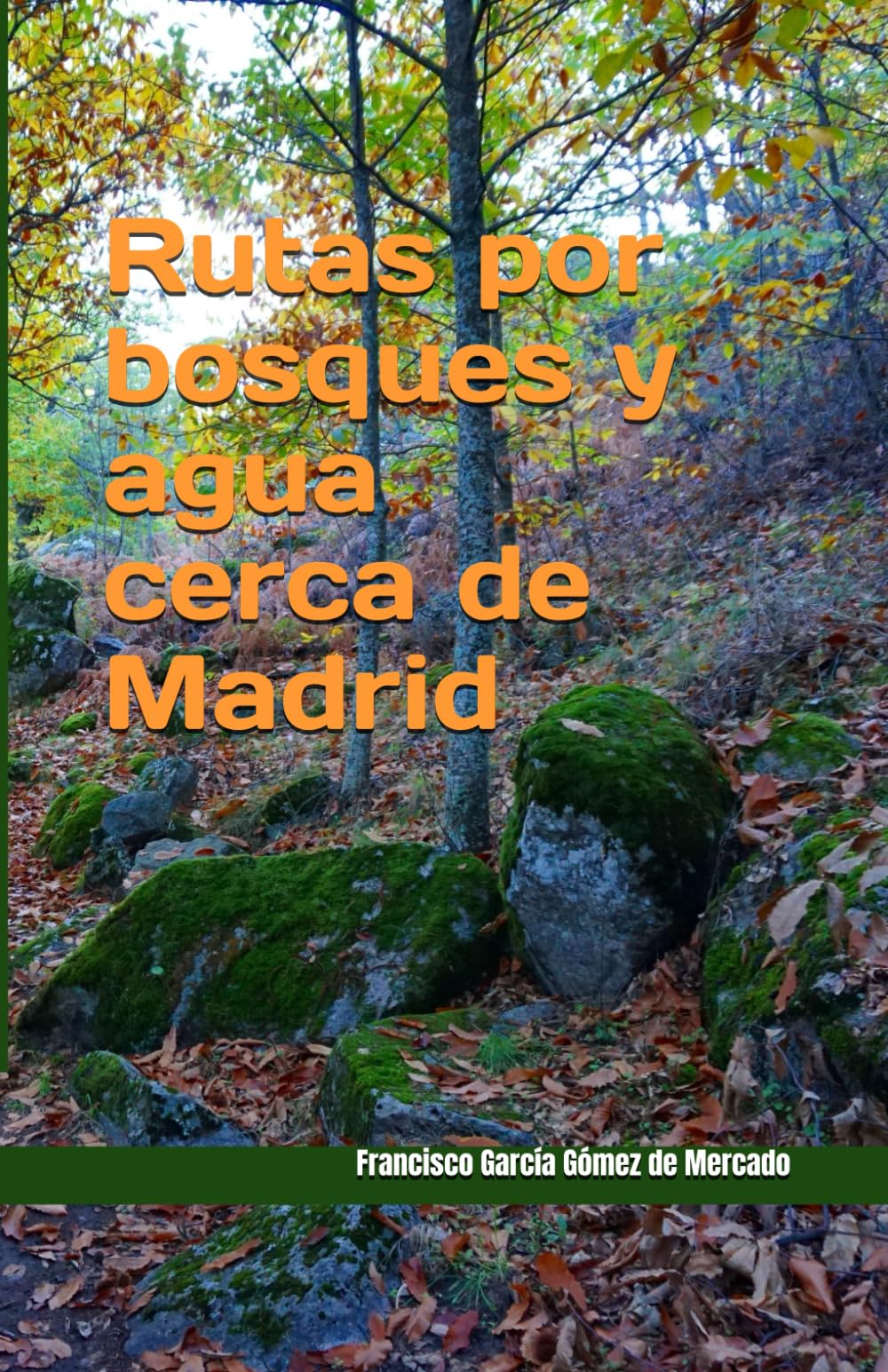 Rutas por bosques y agua cerca de Madrid: 18 rutas de senderismo por bosques, arroyos, lagunas y saltos de agua en los alrededores de Madrid (Domingo en la Sierra) Leisure & Fun