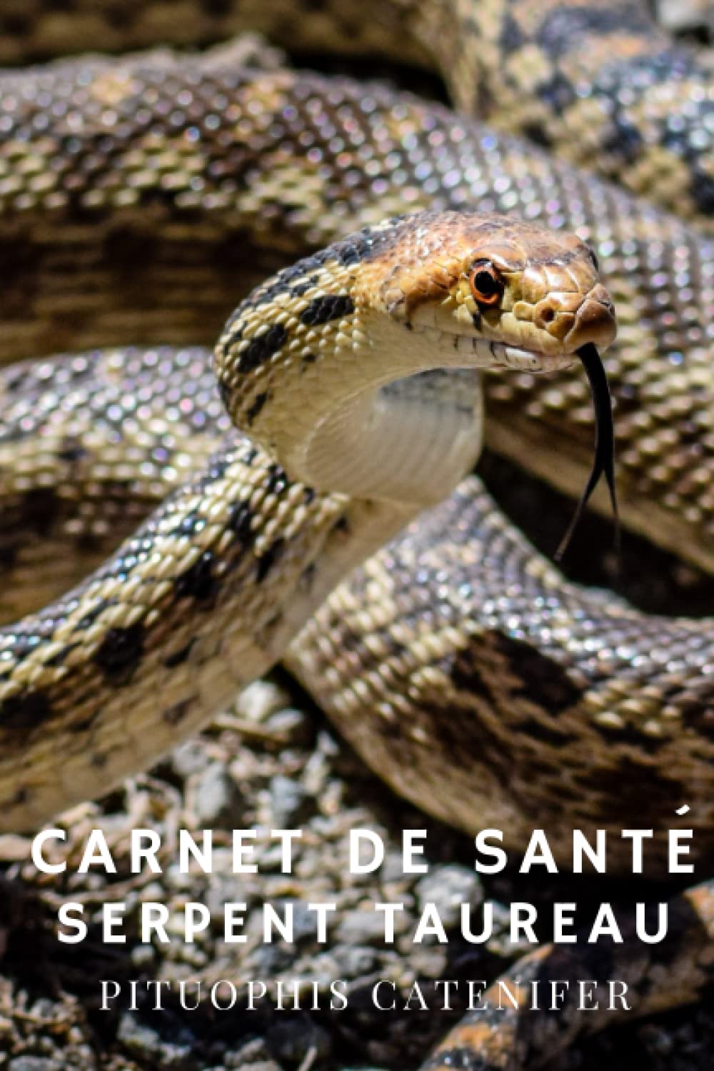 Carnet de Santé - Serpent Taureau (Pituophis catenifer): Tout pour suivre assidument l'évolution de votre serpent. Pets